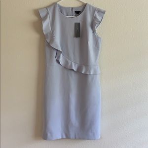NEW Ann Taylor Petite Dress